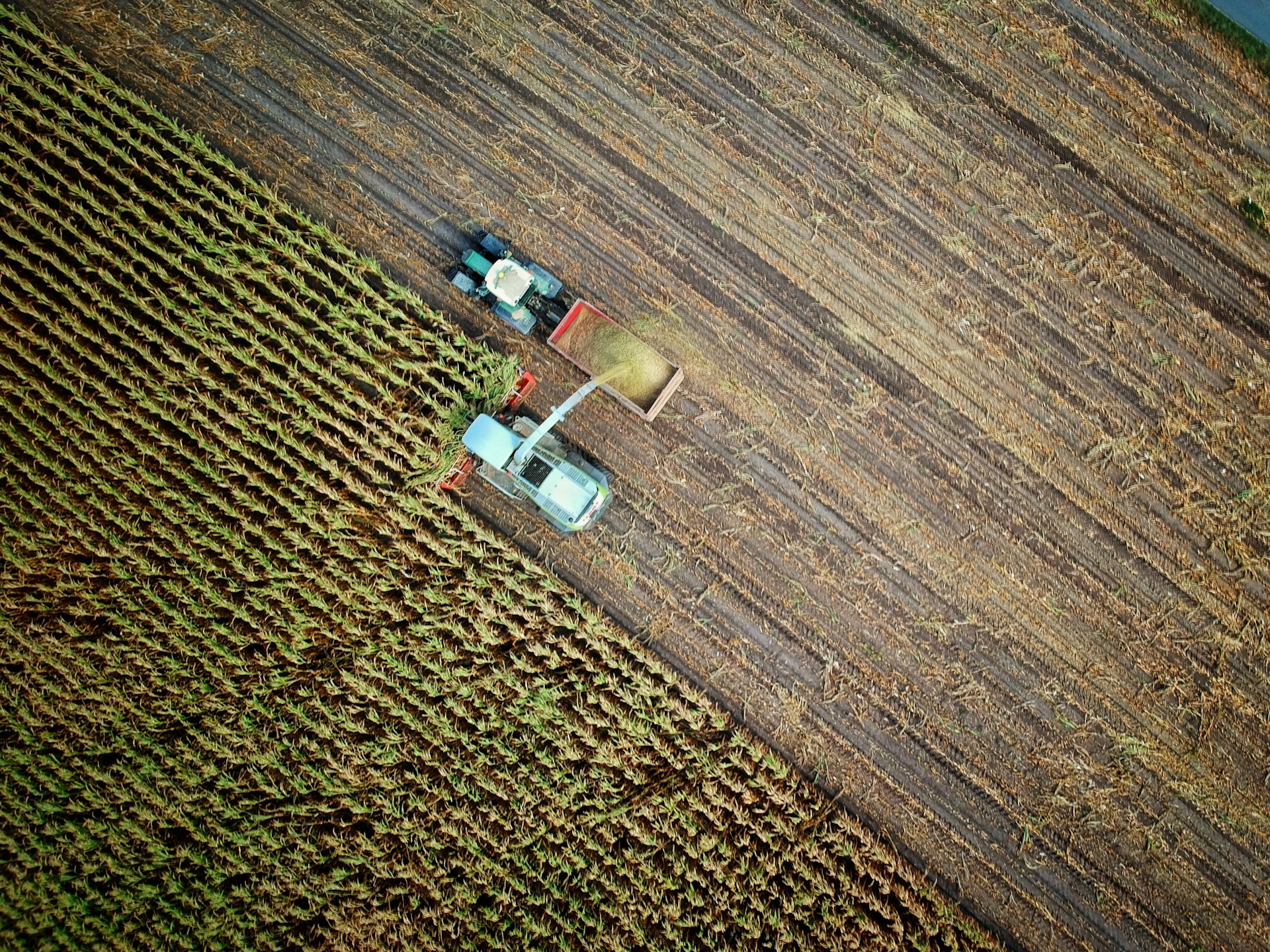 Paisagem rural do Uruguai